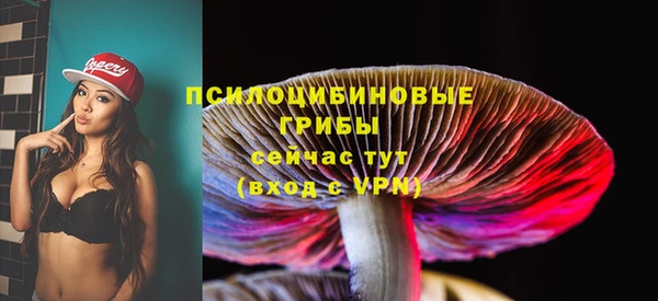 а пвп мука Дегтярск