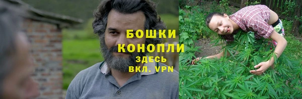 ECSTASY Майский