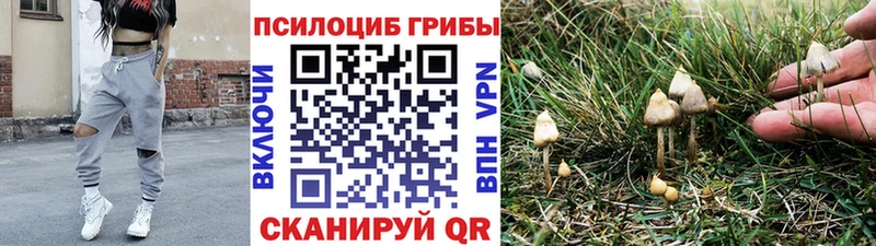 Псилоцибиновые грибы Cubensis  цена наркотик  Кудымкар 