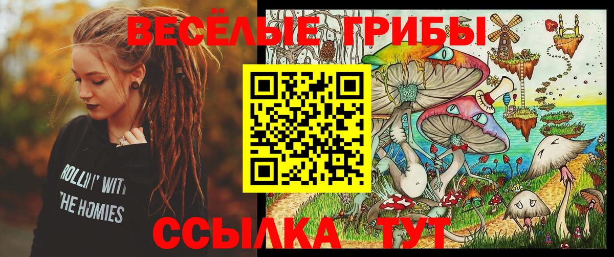 Псилоцибиновые грибы мицелий Кудымкар